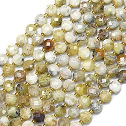 Natural Yellow Opal Beads Strands, with Seed Beads, Faceted, Flat Round, 6~6.5x4mm, Hole: 1mm, about 50pcs/strand, 15.35''(39cm)(G-K389-B32-01)