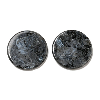 Natural Larvikite Pendants, Flat Round Charms, 29.5~30x3mm, Hole: 1.6mm