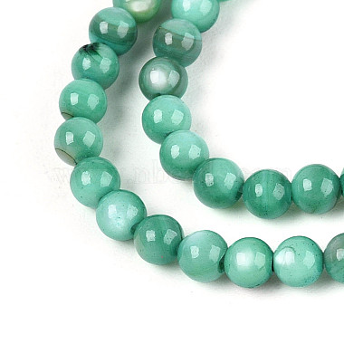 Natural Freshwater Shell Beads Strands(X-BSHE-T009A-01J)-3