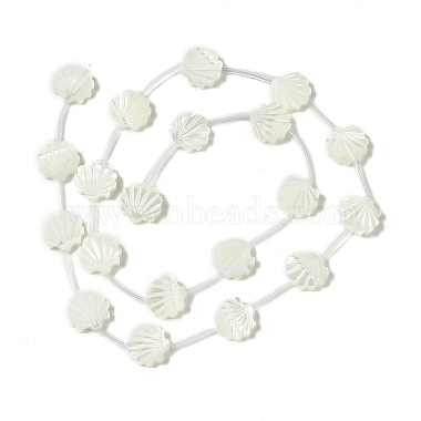 Natural Trochid Shell/Trochus Shell Beads(BSHE-B005-05)-2
