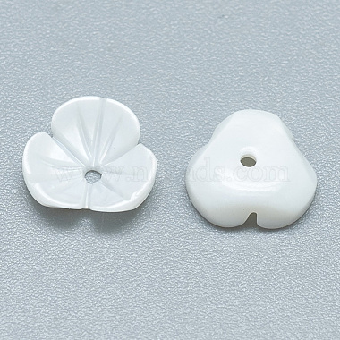 Perles de coquille d'eau douce(SHEL-S275-013B)-2