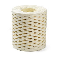 Raffia Ribbon, Packing Paper String, Raffia Twine Paper Cords for Gift Wrapping and Weaving, PapayaWhip, 3~4mm, about 218.72 Yards(200m)/Roll(X-SENE-PW0003-104K)