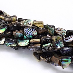 Natural Paua Shell Beads Strands, Nuggets, Colorful, 10~16x6~9x4~6mm, Hole: 1mm, about 15.7 inch(SSHEL-J047-03)