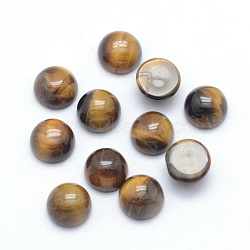 Natural Tiger Eye Cabochons, Half Round, 6x3~3.5mm(X-G-P393-R26-6mm)