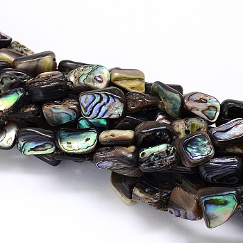 Natural Paua Shell Beads Strands, Nuggets, Colorful, 10~16x6~9x4~6mm, Hole: 1mm, about 15.7 inch