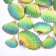 Spray Paint & Electroplate Sea Shell Pendants, with Iron Findings, Light Gold, Colorful, 19~28x20~30x7~11mm, Hole: 2mm(X-SSHEL-S262-07B)