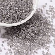 Cylinder Seed Beads, Frosted AB Colors, Round Hole, Uniform Size, Gray, 2x1.5mm, Hole: 0.8mm, about 888pcs/10g(X-SEED-H001-F03)