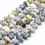 Natural White African Opal Beads Strands, Faceted, Double Terminated Pointed/Bullet, 20~31x12~14x10~13mm, Hole: 1.8mm, about 23~24pcs/strand, 15.55 inch(39.5cm)(G-F715-037)