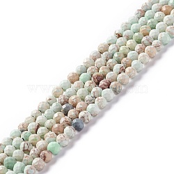 Natural Imperial Jasper Beads Strands, Dyed, Faceted, Round, Light Cyan, 3~3.5mm, Hole: 0.7~0.8mm, about 126~137pcs/strand, 15.24~15.39 inch(38.7~39.1cm)(G-L578-A02)