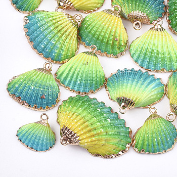 Spray Paint & Electroplate Sea Shell Pendants, with Iron Findings, Light Gold, Colorful, 19~28x20~30x7~11mm, Hole: 2mm
