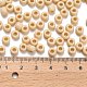トーホー3/0ラウンドビーズ(SEED-XTR03-0051)-3