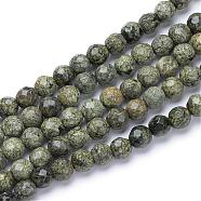 Natural Serpentine/Green Lace Stone Bead Strands, Faceted Round, 6mm, Hole: 1mm, about 70pcs/strand, 15.7 inch(G-R411-11-6mm)