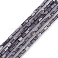 Natural Freshwater Shell Dyed Beads Strands, Column, Slate Gray, 4.8x3mm, Hole: 0.8mm, about 78pcs/strand, 14.96''(38cm)(SHEL-M018-12-03)