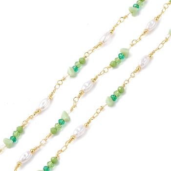 Brass Glass Bead Link Chains with ABS Imitation Pearl Beads, Unwelded, with Spool, Golden, Medium Sea Green, 19.5~24.5x4.5~6x4~6mm