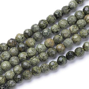 Natural Serpentine/Green Lace Stone Bead Strands, Faceted Round, 6mm, Hole: 1mm, about 70pcs/strand, 15.7 inch