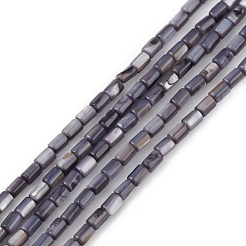 Natural Freshwater Shell Dyed Beads Strands, Column, Slate Gray, 4.8x3mm, Hole: 0.8mm, about 78pcs/strand, 14.96''(38cm)