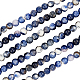 CHGCRAFT 4 Strands Natural Sodalite Beads Strands(G-CA0001-11)-1