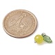 Natural Lemon Jade Fruit Charms(PALLOY-JF02431-05)-2