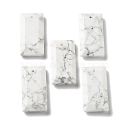 Natural Howlite Pendants, Faceted Rectangle Charms, 25x13x4~4.5mm, Hole: 1mm(G-G063-01H)