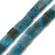 Natural Apatite Beads Strands, 2-Hole, Rectangle, 5.5~6x5x2.5mm, Hole: 0.9mm, about 69~70pcs/strand, 15.12~15.2 inch(38.4~38.6cm)(G-F762-A19-01)