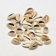 Natural Conch Shell Beads, No Hole/Undrilled, Pale Goldenrod, 13~16x8~10x5mm(X-BSHE-O007-71)