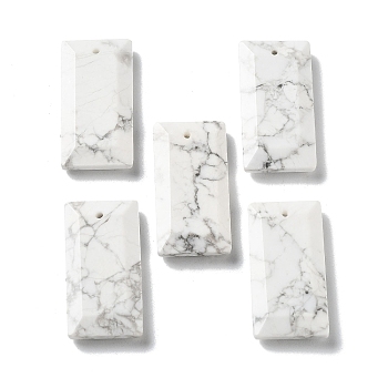 Natural Howlite Pendants, Faceted Rectangle Charms, 25x13x4~4.5mm, Hole: 1mm