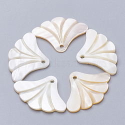 Freshwater Shell Pendants, Sector, Seashell Color, 23.5x37.5x2.5mm, Hole: 2mm(SHEL-S269-64)