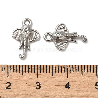 304 Stainless Steel Charm(STAS-I203-59P)-3