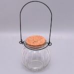 Empty Glass Wishing Bottle, Beads Containers, with Cork Stopper and Iron Handle, Pumpkin, Clear, 8.1x7.8cm(GLAA-WH0028-10)