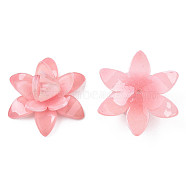 Plastic Beads, Flower, Pink, 28x28x13mm, Hole: 1.4mm(KY-N015-113B-01)