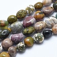 Natural Ocean Jasper Beads Strands, Nuggets, 8~10mm, Hole: 0.8mm, about 30~50pcs/strand, 15.7 inches(40cm)(G-E483-39C)