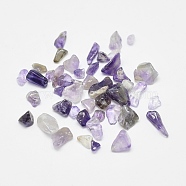 Natural Amethyst Chip Beads, No Hole, 1~30mm(G-G903-02)