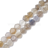 Natural Grey Agate Beads Strands, Faceted Hexagonal Cut, Hexagon, 8~8.5x9~9.5x4~4.5mm, Hole: 1mm, about 25pcs/strand, 8.11''(20.6cm)(G-K359-C11-01)