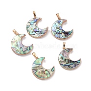 Natural Abalone Shell/Paua Shell Pendants, with Golden Plated Brass Findings, Moon, 33.5x22x3.8mm, Hole: 7.5x5mm(SSHEL-L019-08G)