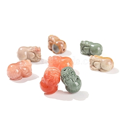 Dyed Natural Rainbow Alashan Agate Carved Beads, Pi Xiu, Mixed Color, 16x9mm(PW-WGAE261-01)