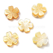 Natural Yellow Shell Carved Beads, Flower, 11.5~12x12x2.5~3.5mm, Hole: 0.8~0.9mm(SSHEL-Z002-02C)