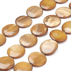Natural Freshwater Shell Beads, Flat Round, 20x3.5~4.5mm, Hole: 0.5mm, about 20pcs/strand, 15.94 inch(40.5cm)(X-BSHE-I011-01A-01)
