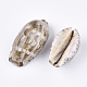 Cowrie Shell Beads(SSHEL-S258-59B)-2