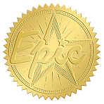 Plastic Self Adhesive Gold Foil Embossed Stickers, Medal Decoration Sticker, Star, 50x50mm, 4pcs/sheet(DIY-WH0211-303)