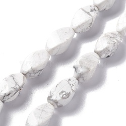 Natural Howlite Beads Strands, Twist, 17x8x8mm, Hole: 1mm, about 24pcs/strand, 15.55''(39.5cm)(G-L243A-21)