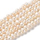 Natural Cultured Freshwater Pearl Beads Strands(PEAR-E018-51)-1