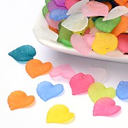 Transparent Frosted Acrylic Leaf Charms, Mixed Color, 16x15x2mm, Hole: 1.2mm, about 1050pcs/500g(PL591)