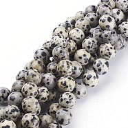 Natural Dalmatian Jasper Beads Strands, Round, 10mm, Hole: 1mm(X-GSR10mmC004)