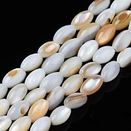 Natural Freshwater Shell Beads Strands, Rice, 5x3mm, Hole: 0.9mm, about 80~83pcs/strand, 14.76 inch~15.55 inch(37.5~39.5cm)(SHEL-N003-25-C01)