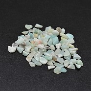Natural Flower Amazonite Chip Beads, No Hole/Undrilled, 2~8x2~4mm, about 8500pcs/500g(G-O103-11)