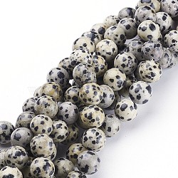 Natural Dalmatian Jasper Beads Strands, Round, 10mm, Hole: 1mm(X-GSR10mmC004)