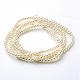 Glass Pearl Beads Strands(HY-3D-B02)-1