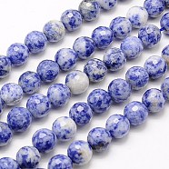 Natural Blue Spot Jasper Beads Strands, Faceted, Round, Blue, 6mm, Hole: 1mm, about 63pcs/strand, 15.55 inch(G-G542-6mm-01)