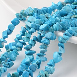 Nuggets Dyed Natural Howlite Bead Strands, 4~6x8~12x2~4mm, Hole: 1mm, about 34.6 inch(G-M344-30)