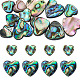 12Pcs 2 Styles Natural Abalone Shell/Paua Shell Beads(SHEL-TA0001-41)-1